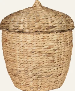 Acorn kori suuri luonnonväri