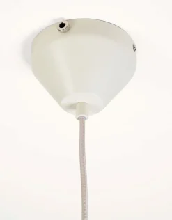 August kattovalaisin creme