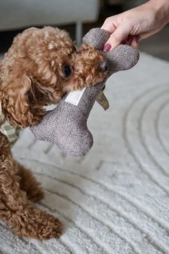 Buster Koiranlelu harmaa