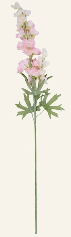 Delphinium L kukka vaaleanroosa