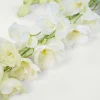 Delphinium L kukka valkoinen