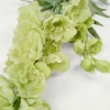 Delphinium L kukka vihreä