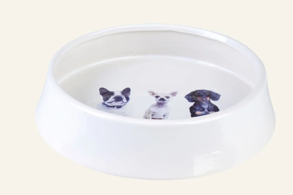 Dogs Koiran ruokakuppi valkoinen