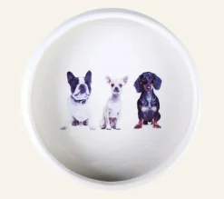 Dogs Koiran ruokakuppi valkoinen