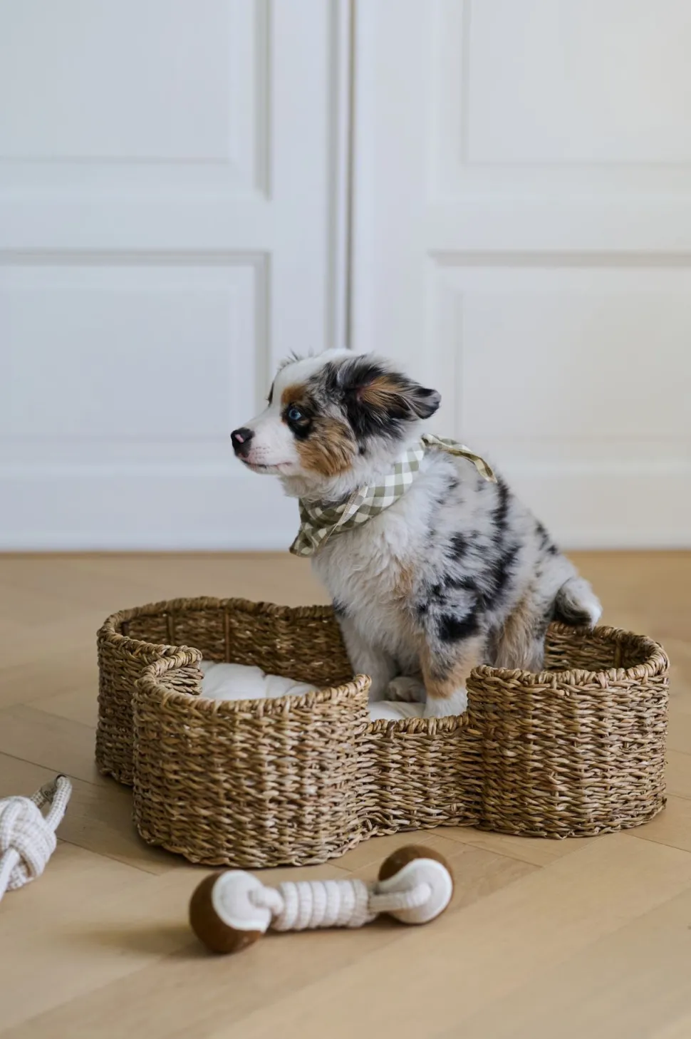 Fido Koiranlelu moniväri/valkoinen
