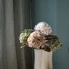 Hortensia kukka luonnonvalkoinen
