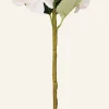 Hyndrangea S kukka vaaleanroosa