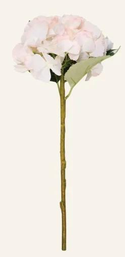 Hyndrangea S kukka vaaleanroosa
