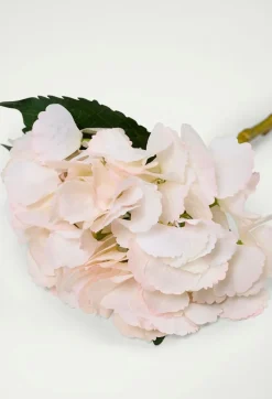 Hyndrangea S kukka vaaleanroosa