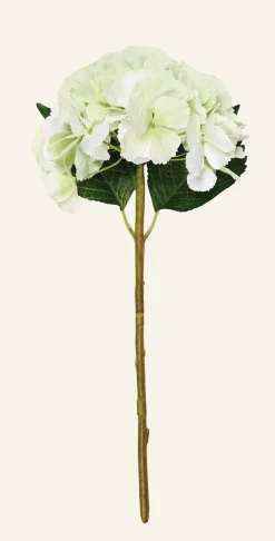 Hyndrangea S kukka vaaleanvihreä
