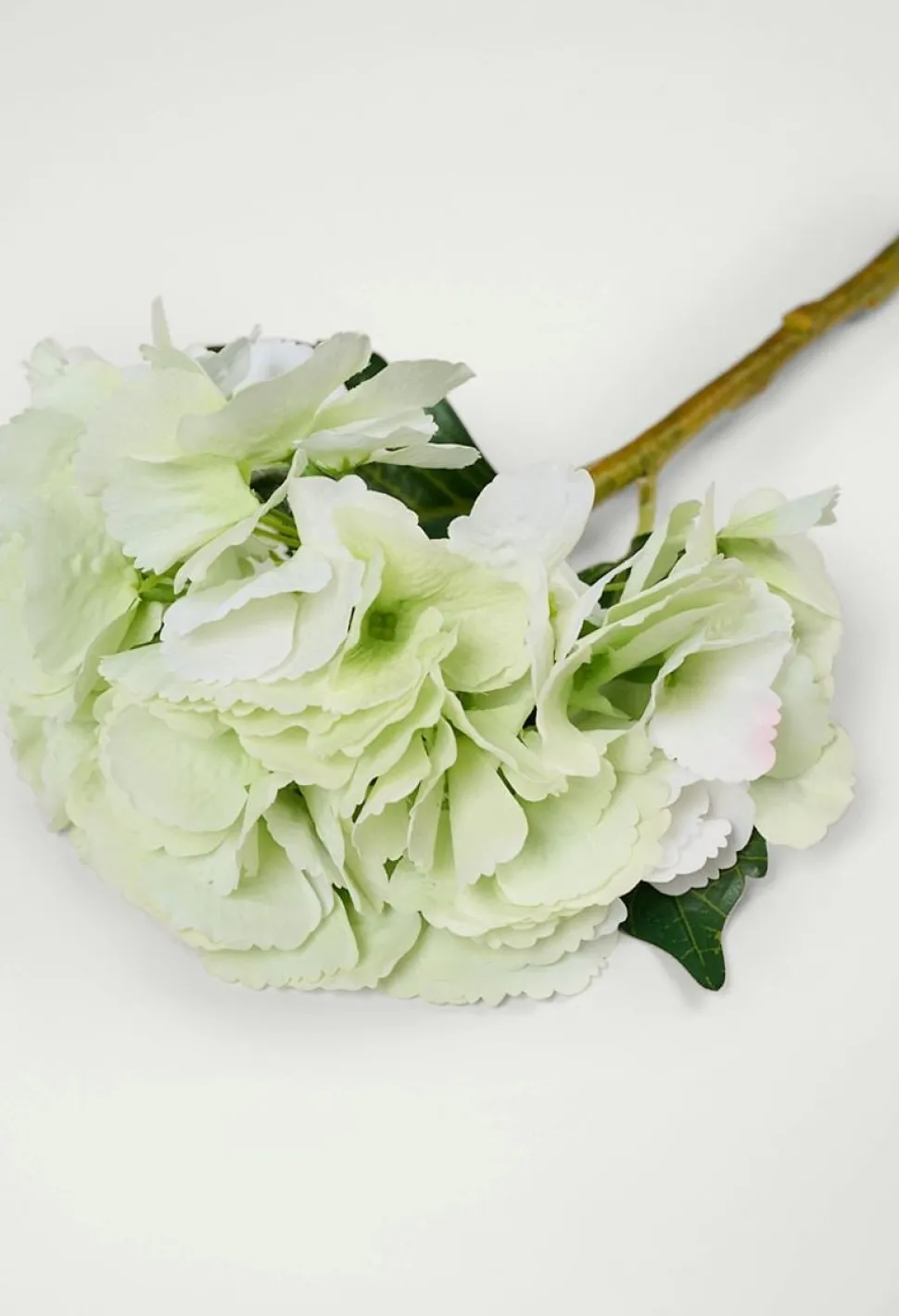 Hyndrangea S kukka vaaleanvihreä