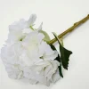 Hyndrangea S kukka valkoinen