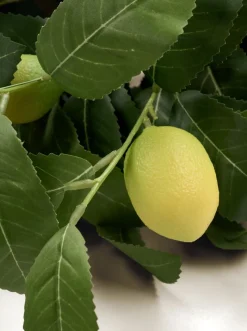 Lemon Kukkakimppu keltainen