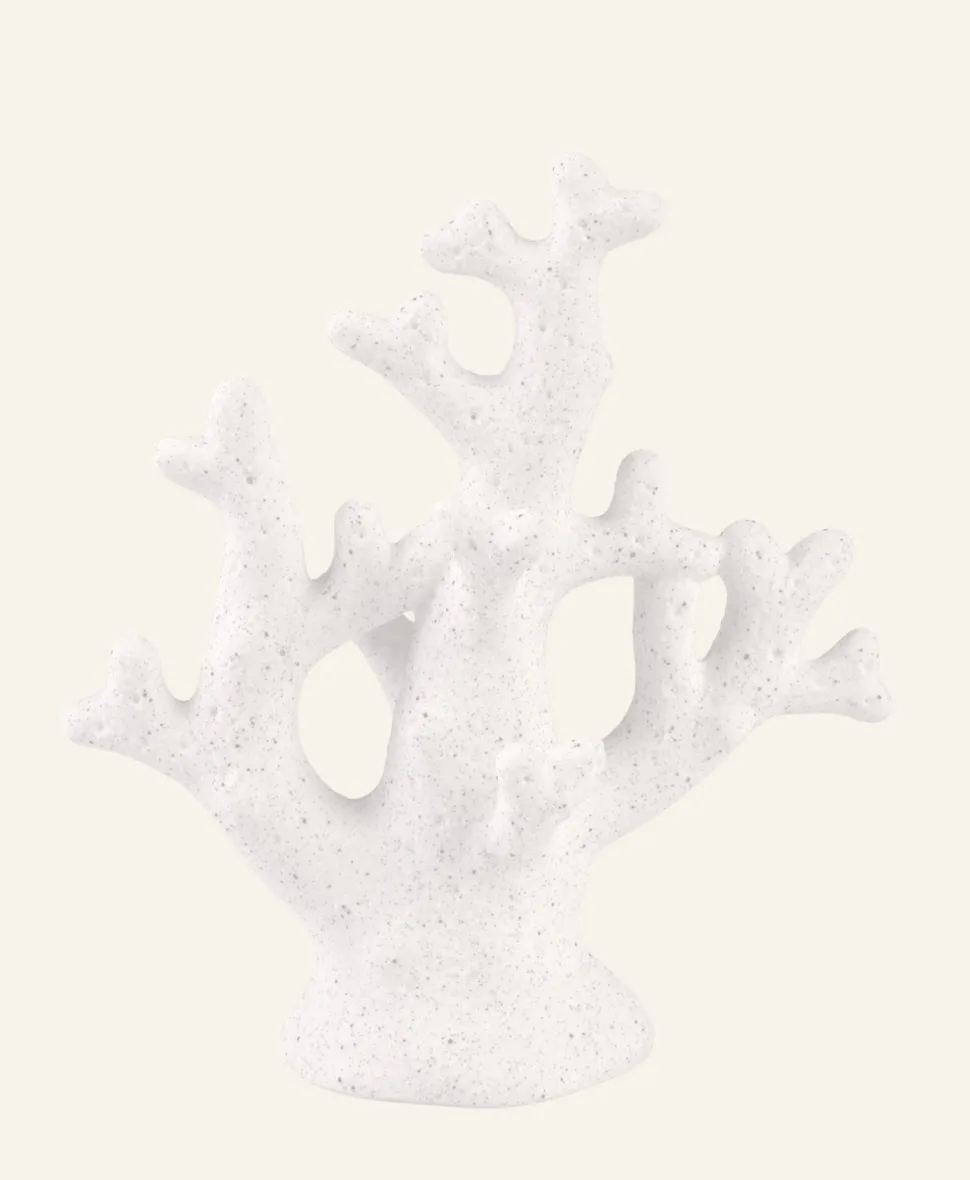 Sea flower koriste valkoinen