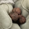 Wooly nahkakäsineet oliivinvihreä